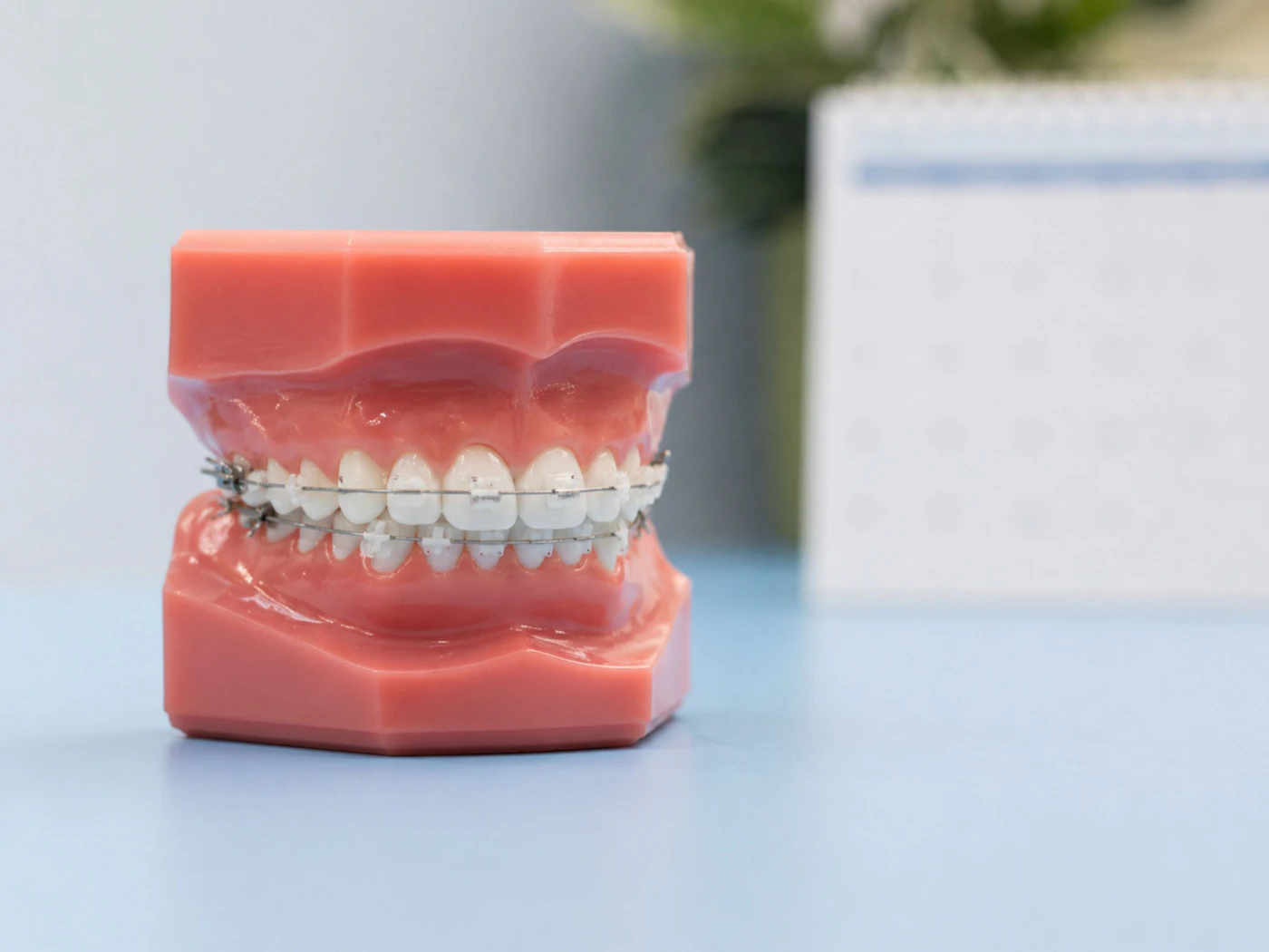 Dental model fitted with metal braces